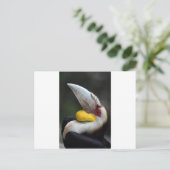 Großes Hornvogelportrait Postkarte (Stehend Vorderseite)