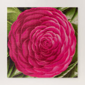 Grosses Kamelien-Blossom, Fuchsienrosa Puzzle (Horizontal)