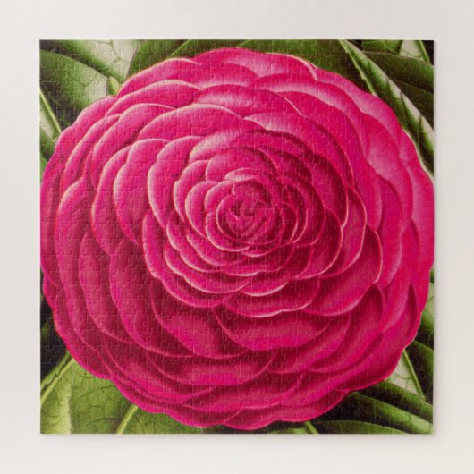 Grosses Kamelien-Blossom, Fuchsienrosa Puzzle (Vertikal)