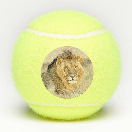 Grosses, majestätisches Foto wild lebender Tiere Tennisbälle (Rückseite)