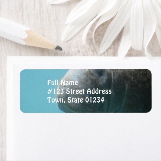 Großes Manateau Unterwasser (Insitu)