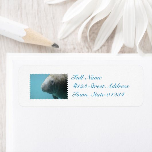 Großes Manateau Unterwasser (Insitu)