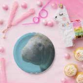 Großes Manatis Unterwasser Pappteller (Party)