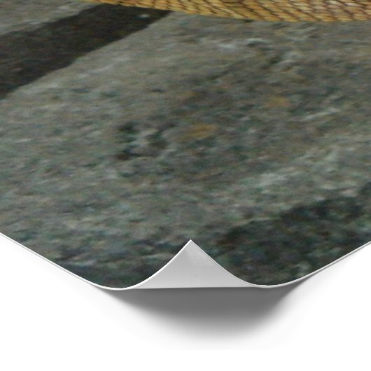 Grosses Männchen Iguana sp. Poster (Ecke)