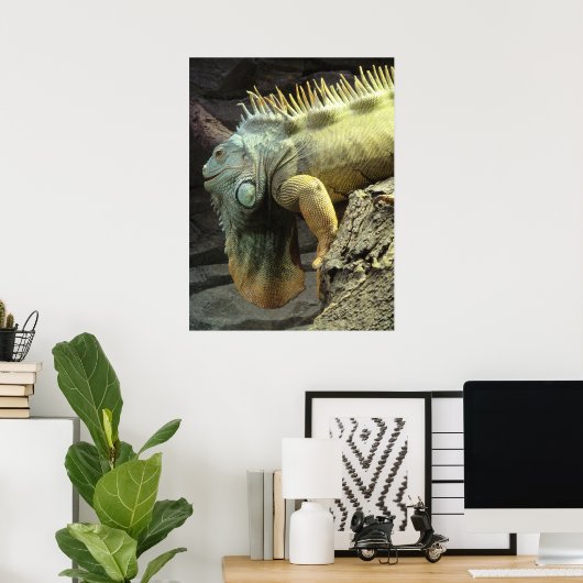 Grosses Männchen Iguana sp. Poster (Heimbüro)