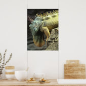 Grosses Männchen Iguana sp. Poster (Küche)