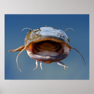 Großes Mund-Fischen Poster