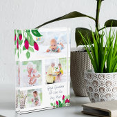 Großes Oma Rosa Rosenknospe 4 Bild Fotoblock