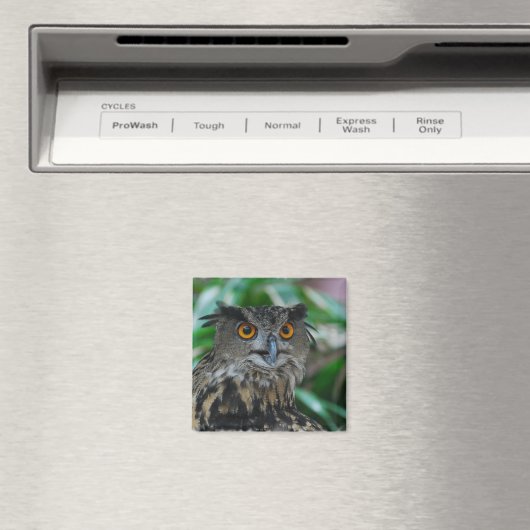 Großes Owl Magnet (In Situ (Geschirrspüler))