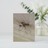 Großes Papa-Spinnengeschenke Postkarte (Stehend Vorderseite)