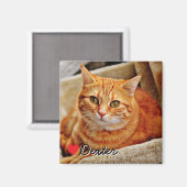 Großes personalisiertes Haustierfoto Magnet (Vorderseite/Rückseite)