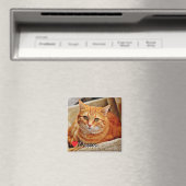 Großes personalisiertes Haustierfoto Magnet (In Situ (Geschirrspüler))