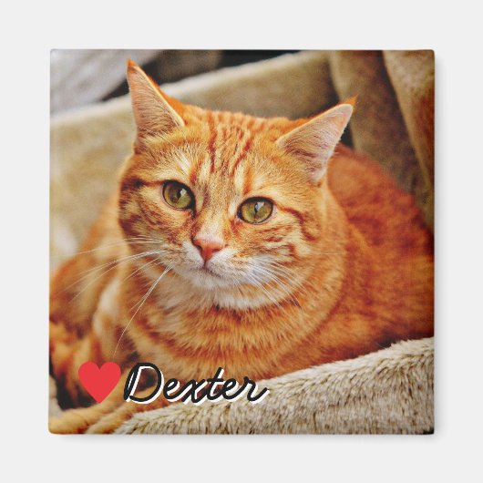 Großes personalisiertes Haustierfoto Magnet (Vorne)