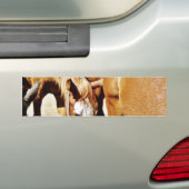 Großes Pferd Autoaufkleber (Auf Auto)