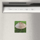 Grosses Pilz im Gras-Foto Magnet (In Situ (Geschirrspüler))