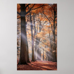 Großes Poster der Natur