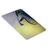 Großes Prachtmagazin Magnet (Rechte Seite)