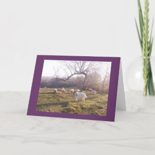 Großes Pyr und Menge Karte