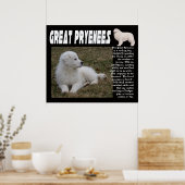 GROSSES PYRENEES BREED CHARAKTERISTICS POSTER (Küche)