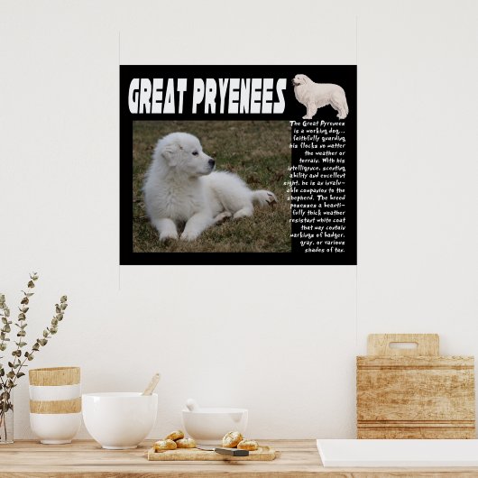 GROSSES PYRENEES BREED CHARAKTERISTICS POSTER (Küche)