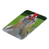 Großes Rooster-Magnet Magnet (Linke Seite)