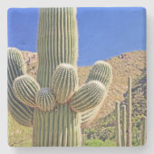 Grosses Saguaro Cactus, Arizona, Untersetzer aus N (Vorderseite)