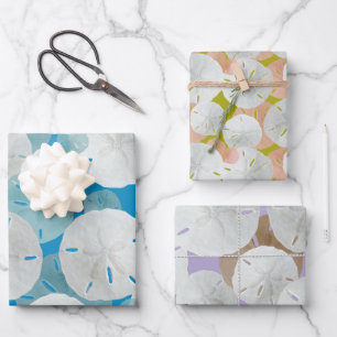 Großes Sand-Dollar-Muster flach Geschenkpapier Set