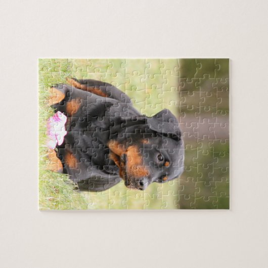Großes schönes Rottweiler Puzzle (Horizontal)