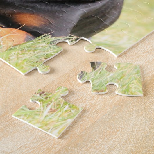 Großes schönes Rottweiler Puzzle (Seite)