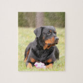 Großes schönes Rottweiler Puzzle (Vertikal)
