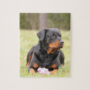 Großes schönes Rottweiler Puzzle