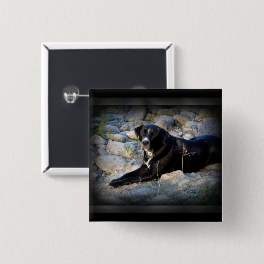 Großes schwarzes Pitbull Labrador-Kreuz Button (Vorne & Hinten)