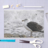 Großes schwarzrückiges Möven-Seidenpapier Seidenpapier (Handwerk)