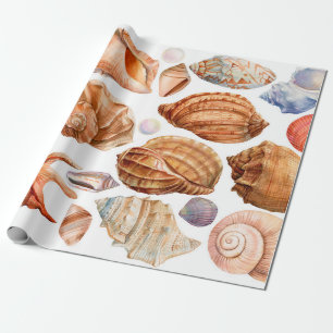 großes Set Muscheln auf einem abgeschiedenen, weiß Geschenkpapier