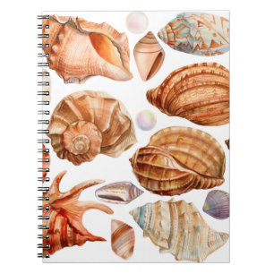 großes Set Muscheln auf einem abgeschiedenen, weiß Notizblock