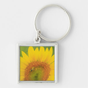 Großes Sonnenblumenfeld in der Nähe von Moses Lake Schlüsselanhänger