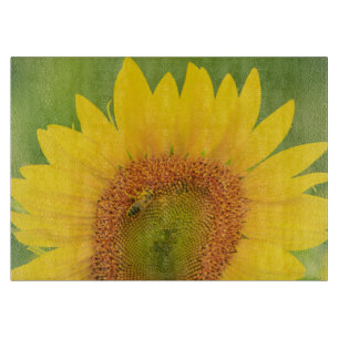 Großes Sonnenblumenfeld in der Nähe von Moses Lake Schneidebrett