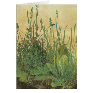 Großes Stück Rasen