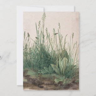 Grosses Stück Turf von Albrecht Durer