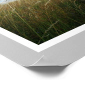 Grosses, trockenes Welpe verkaufen Poster (Ecke)