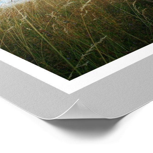 Grosses, trockenes Welpe verkaufen Poster (Ecke)