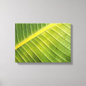 Grosses tropisches Leaf mit Wassertropfen von Raya Leinwanddruck (Vorderseite)