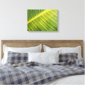 Grosses tropisches Leaf mit Wassertropfen von Raya Leinwanddruck (Insitu (Schlafzimmer))