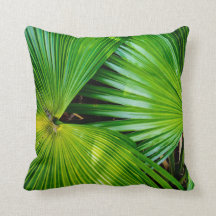 Großes und helles Blätter von den Tropen