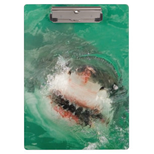 Großes Weiß Shark1 Klemmbrett