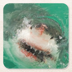 Großes Weiß Shark1 Rechteckiger Pappuntersetzer