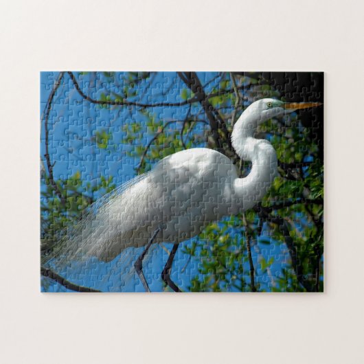 Großes Weißes Egret Florida. Puzzle (Horizontal)