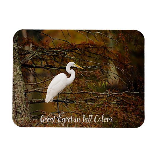 Großes Weißes Egret in Herbstfarben Flexible Magne Magnet (Horizontal)