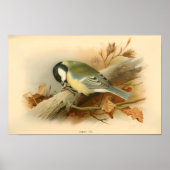 Großes Werk von Lord Lilford, Illustration Poster (Vorne)