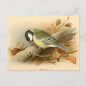 Großes Werk von Lord Lilford, Illustration Postkarte (Vorderseite)